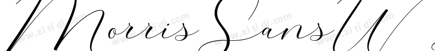 MorrisSansW05 Light字体转换